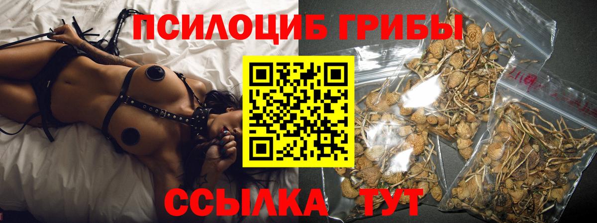 Алексин  Галлюциногенные грибы ЛСД  Вход с VPN 